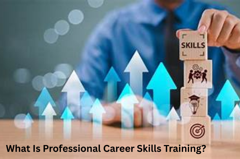 What Is Professional Career Skills Training